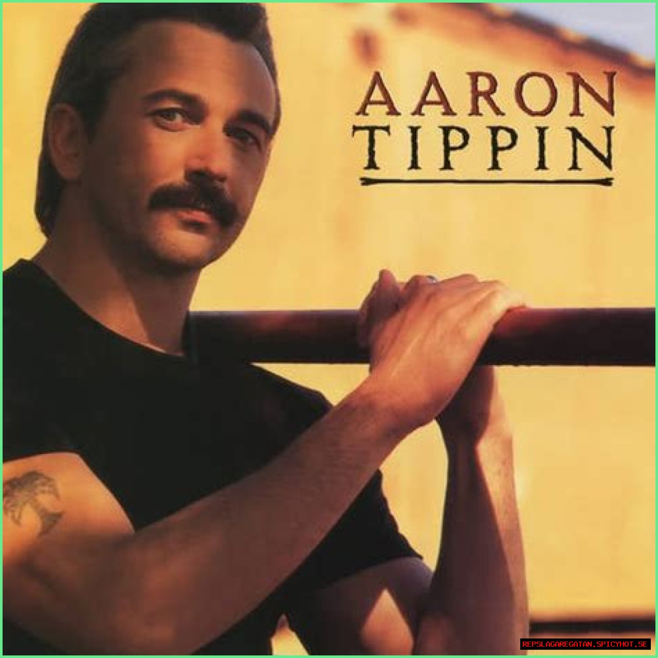 Aaron Tippin: A Journey Through Time And Music